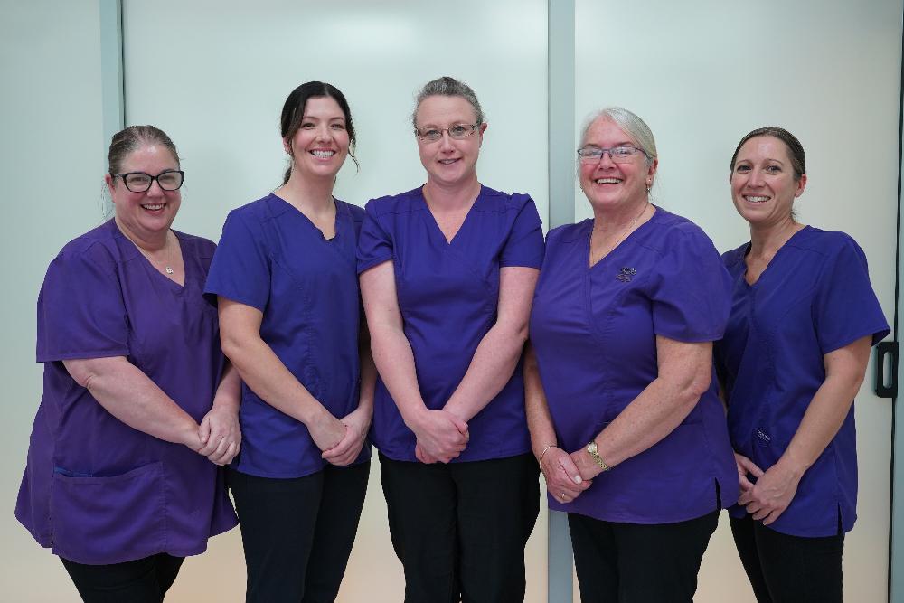 Support team at Bell Hill Dental in Dunedin