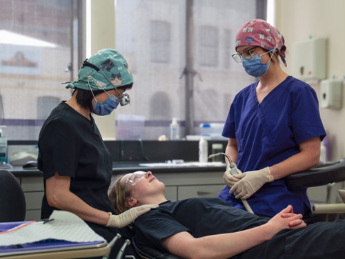 new patient dentist near me Dunedin NZ 9016
