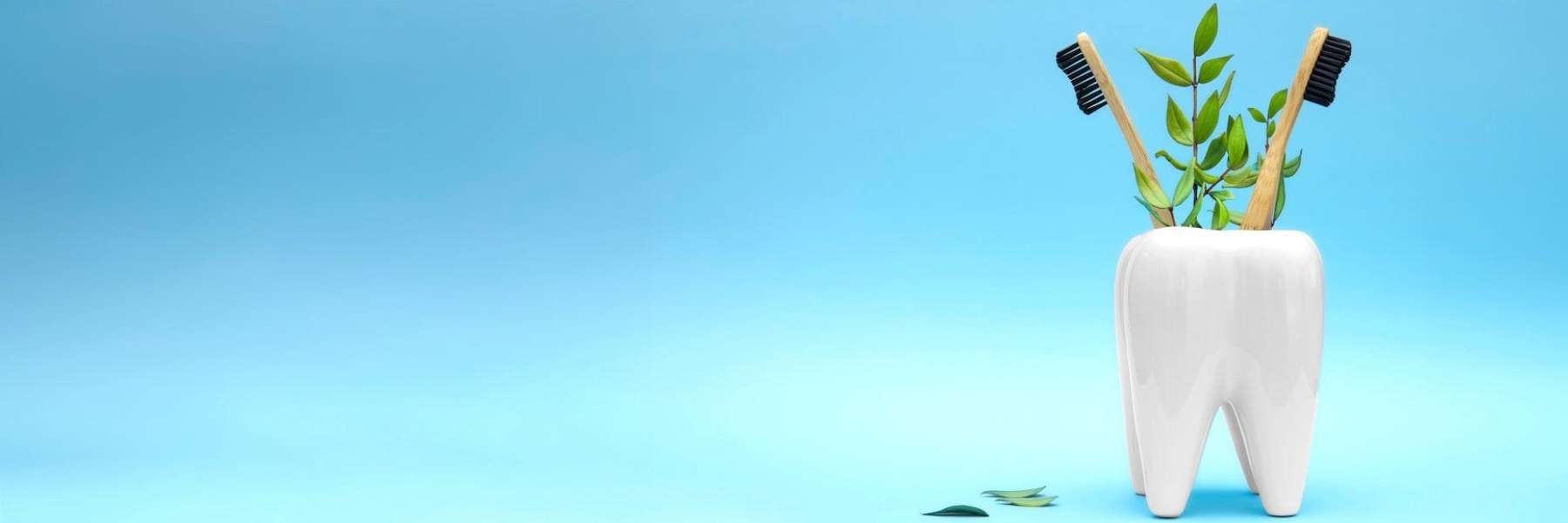 oral health therapist dunedin